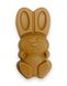 Caramel chocolate Bunny LAVIVA CHOCOLATE