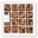 Цукерки шоколадні LAVIVA CHOCOLATE Swell 16 шт, 320г UA-0665 фото 1
