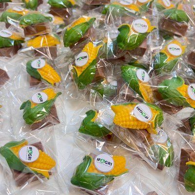 Конфета кукуруза LAVIVA CHOCOLATE Brand UA-0222-6 фото