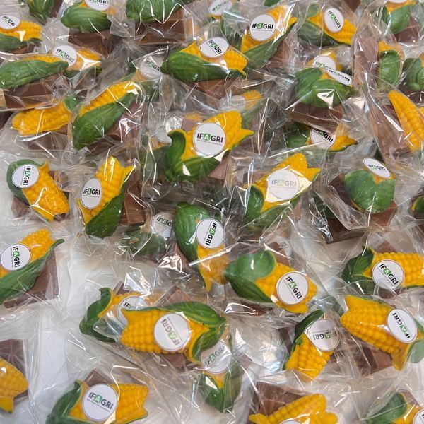 Конфета кукуруза LAVIVA CHOCOLATE Brand UA-0222-6 фото